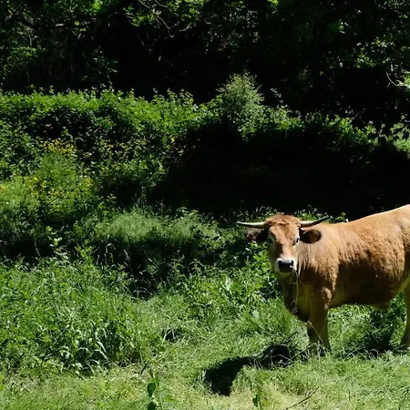 Domaine De La Planche De Melussac Bed & Breakfast