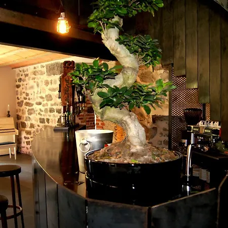 Domaine De La Planche De Melussac Bed & Breakfast *
