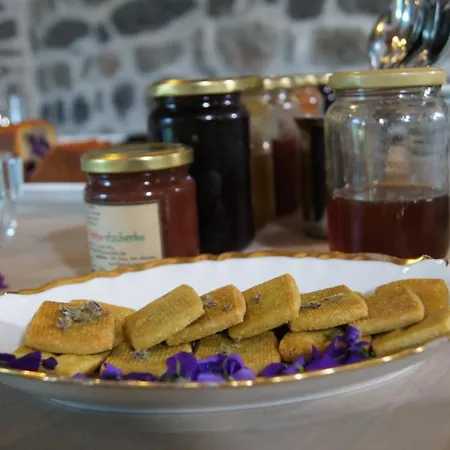 Panzió Domaine De La Planche De Melussac Cussac-sur-Loire