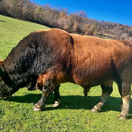 Domaine De La Planche De Melussac 4*
