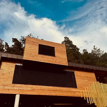 拉普兰奇德梅鲁塞克住宿加早餐旅馆 4* Cussac-sur-Loire