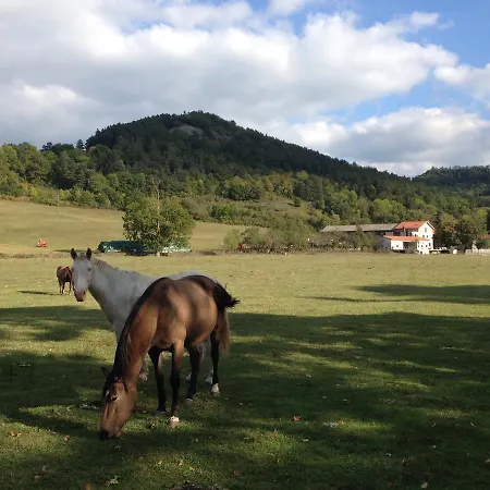 Domaine De La Planche De Melussac Panzió Cussac-sur-Loire