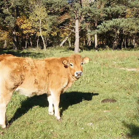 Domaine De La Planche De Melussac 4*