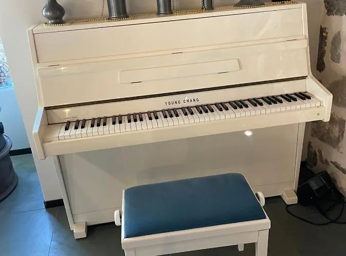 Domaine De La Planche De Melussac 4* Cussac-sur-Loire