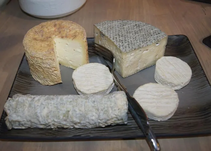 Domaine De La Planche De Melussac Nocleg ze śniadaniem Cussac-sur-Loire