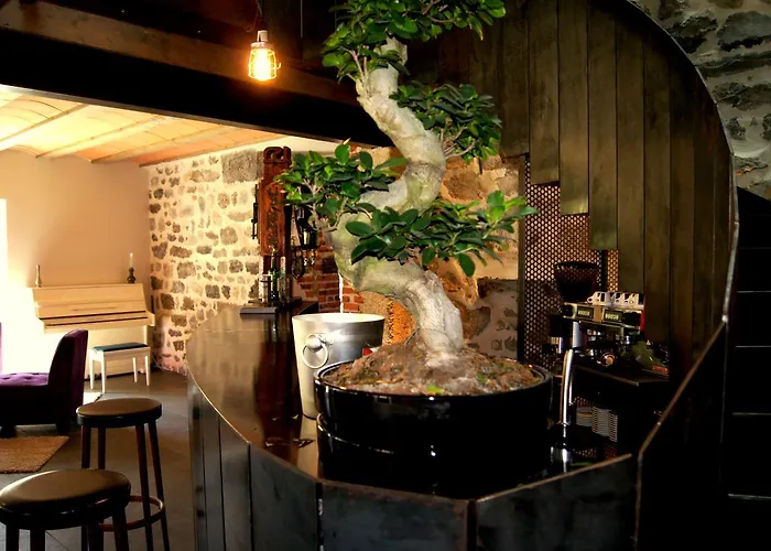 Domaine De La Planche De Melussac Nocleg ze śniadaniem 4*