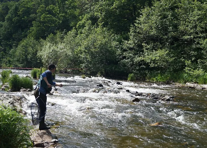 Domaine De La Planche De Melussac Nocleg ze śniadaniem 4*